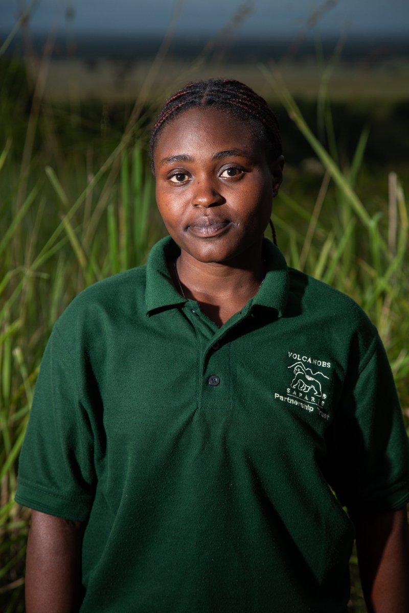 Volcanoes Safaris tweet media