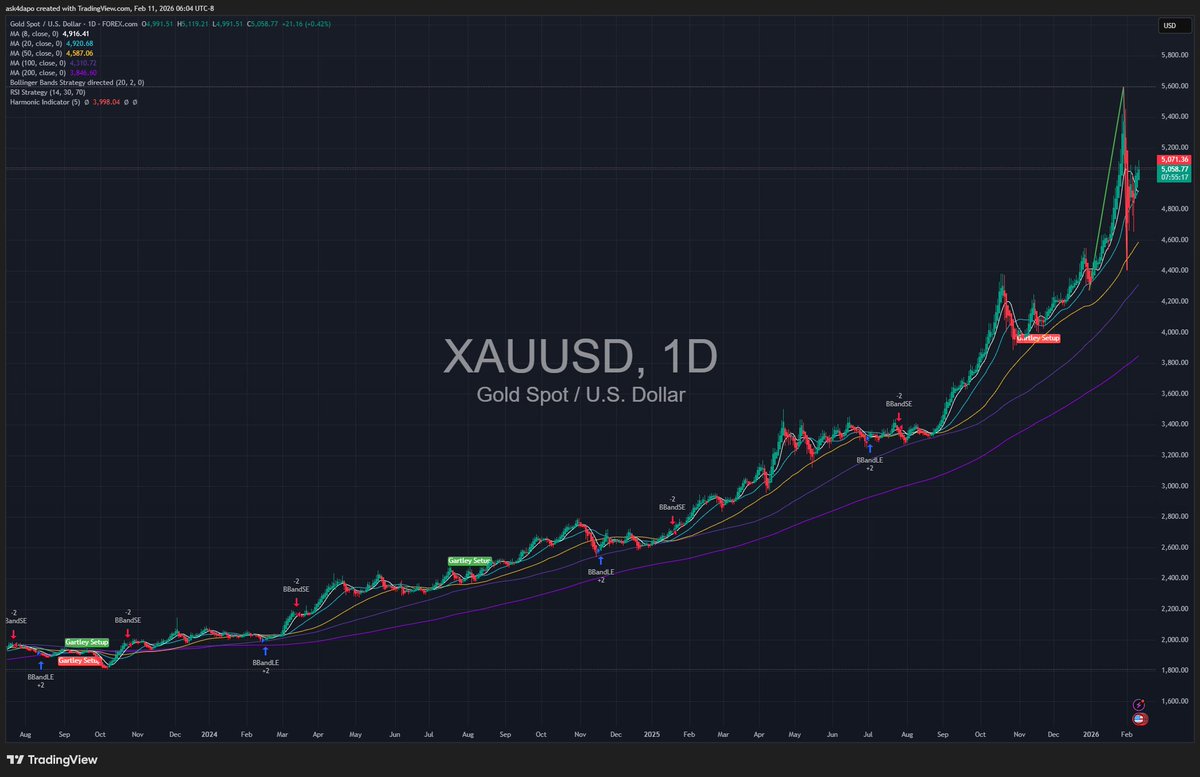 Dapzeeee tweet media