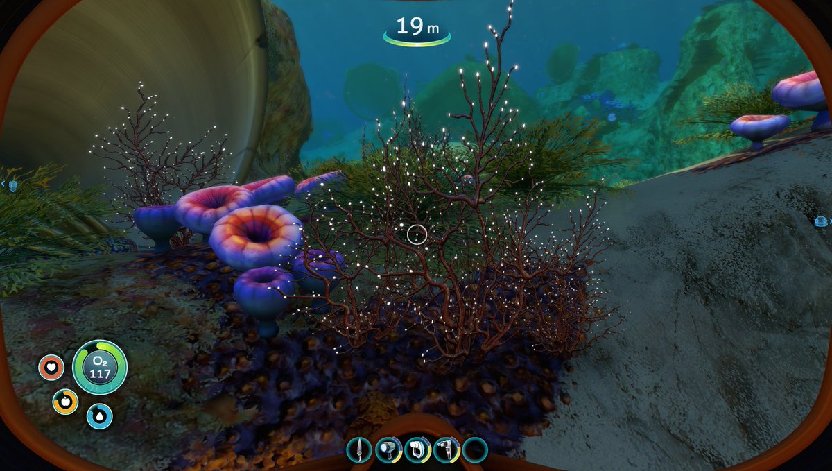 Fish & Dive 🐙'Préservons la Méditerranée' tweet media