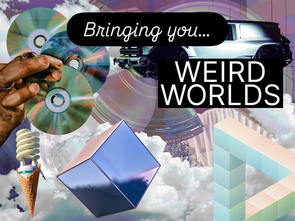 Semaeopus tweet media