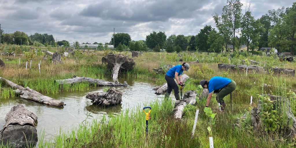 Conservation Halton tweet media