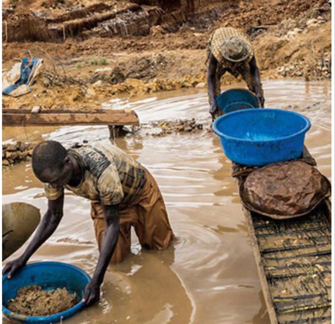 Climate Action Coalition of Zimbabwe tweet media