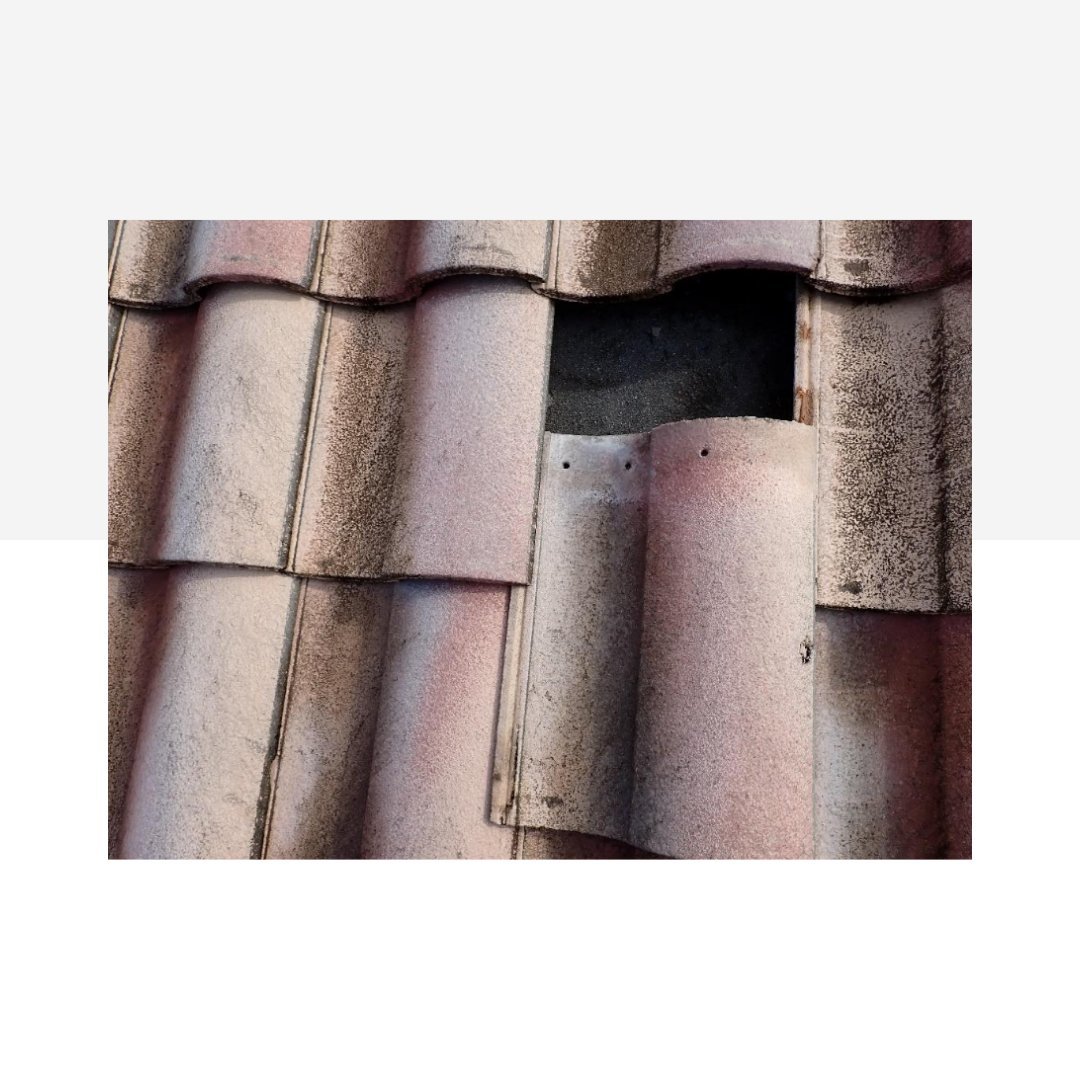 STRUCTURE magazine tweet media