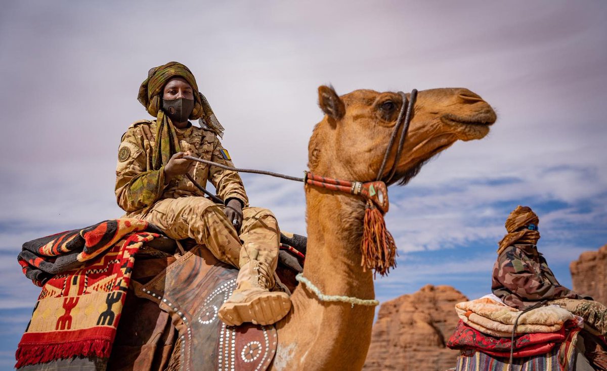AfricanParks's tweet photo. Eco Guards and their camels are the eyes and ears of the Ennedi Natural and Cultural Reserve (ENCR). They’re an important link between the Reserve and local communities, as well as gathering ecological data, sharing information and relaying messages as they criss-cross Ennedi.   

#EnnediNaturalAndCulturalReserve #Ennedi #ENCR #Chad #EcoGuards #Sustainability #CommunityLedConservation