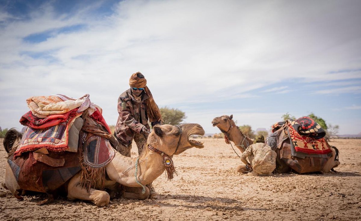 AfricanParks's tweet photo. Eco Guards and their camels are the eyes and ears of the Ennedi Natural and Cultural Reserve (ENCR). They’re an important link between the Reserve and local communities, as well as gathering ecological data, sharing information and relaying messages as they criss-cross Ennedi.   

#EnnediNaturalAndCulturalReserve #Ennedi #ENCR #Chad #EcoGuards #Sustainability #CommunityLedConservation