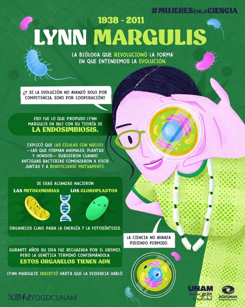 Lynn Margulis transformó la manera de entender la biología #CambiandoLaPerspectiva sobre la  Teoría de la Evolución. 🦠👩🏼‍🔬

Hoy en día, sus aportes han contribuido significativamente al estudio de la genética.

#MujeresSinLímites #MujeresEnLaCiencia
