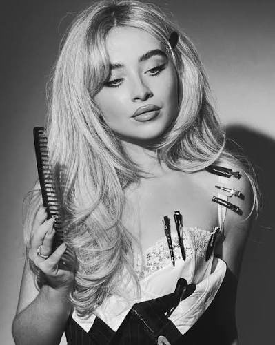 Championship Material (Punk) tweet media