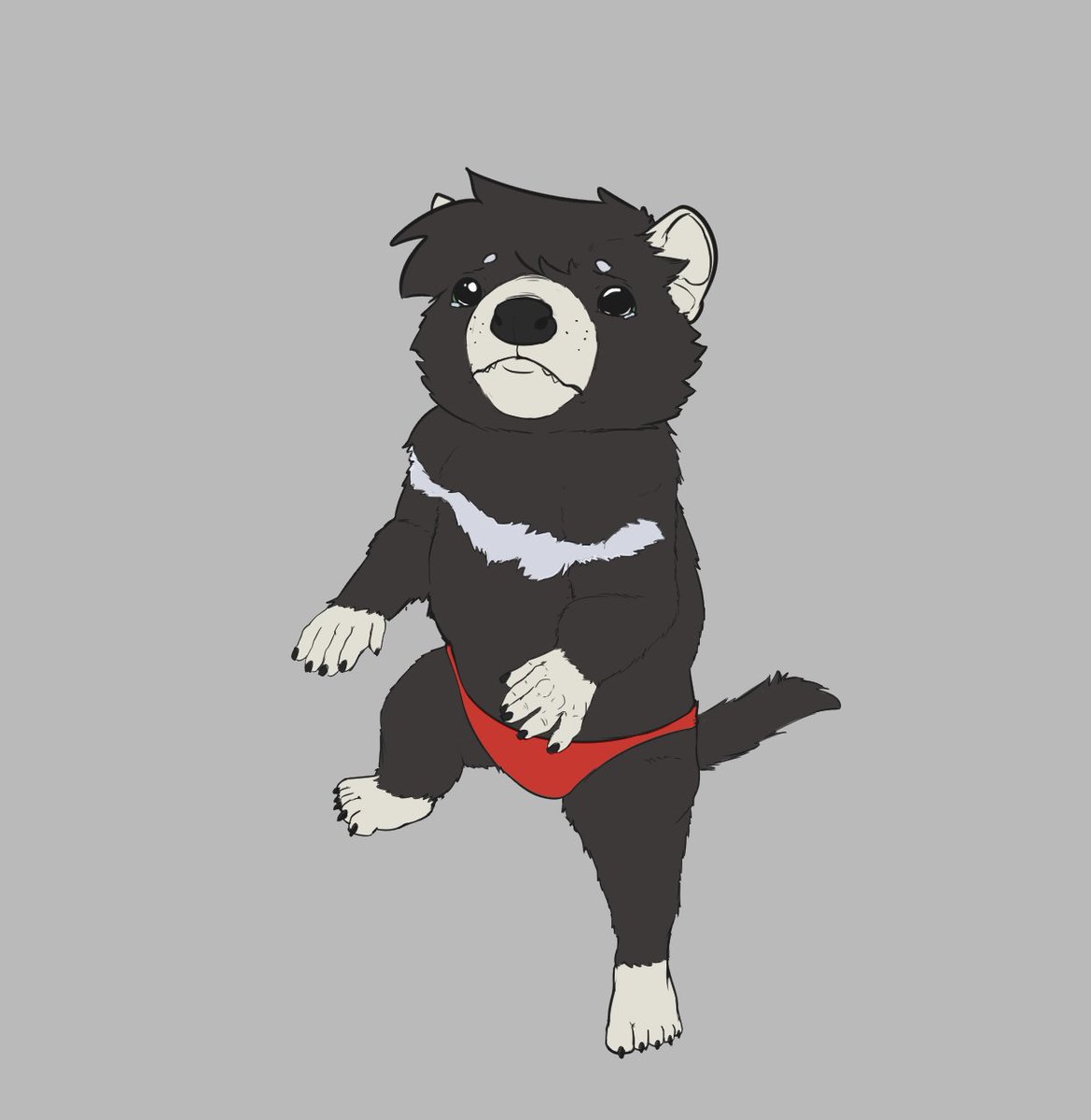 EvergreenPlate🇦🇺 tweet media