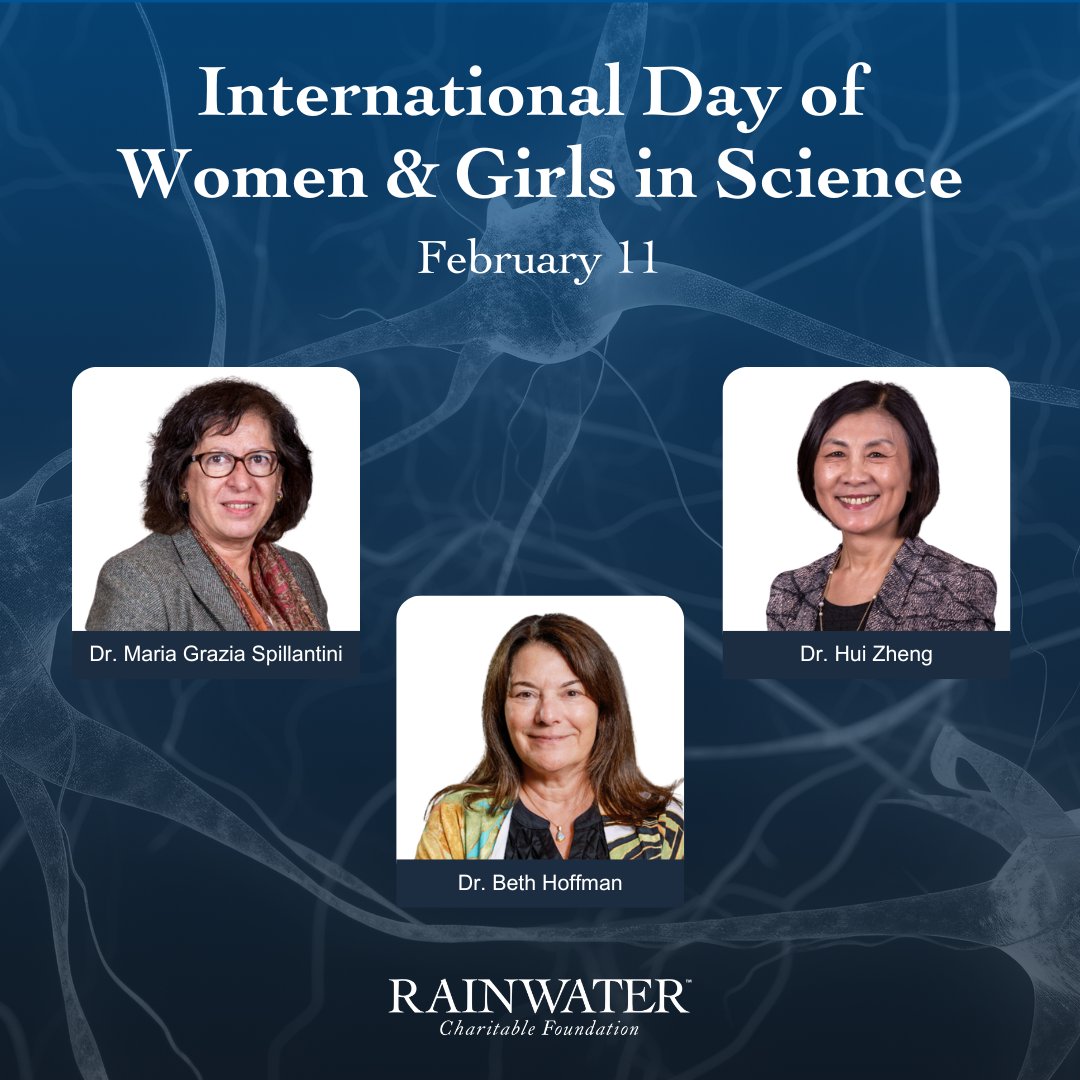 The Rainwater Charitable Foundation tweet media