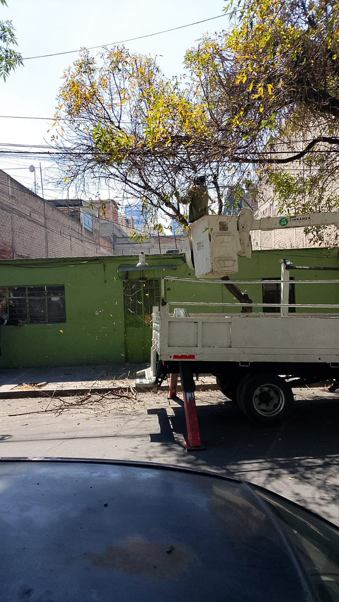 AzcapotzalcoMx's tweet photo. 🌳✂️Iniciamos trabajos de poda y mantenimiento de arbolado en la colonia #DelGas, como parte de las acciones de #BienestarEnTuComunidad para mejorar la seguridad, la visibilidad y el entorno de nuestras calles.
Seguimos atendiendo las colonias de #Azcapo con acciones directas y presencia en territorio. 💪🐜
#BienestarParaElPueblo
