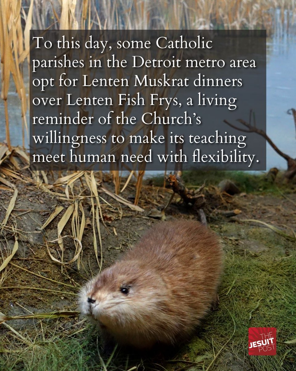 The Jesuit Post tweet media