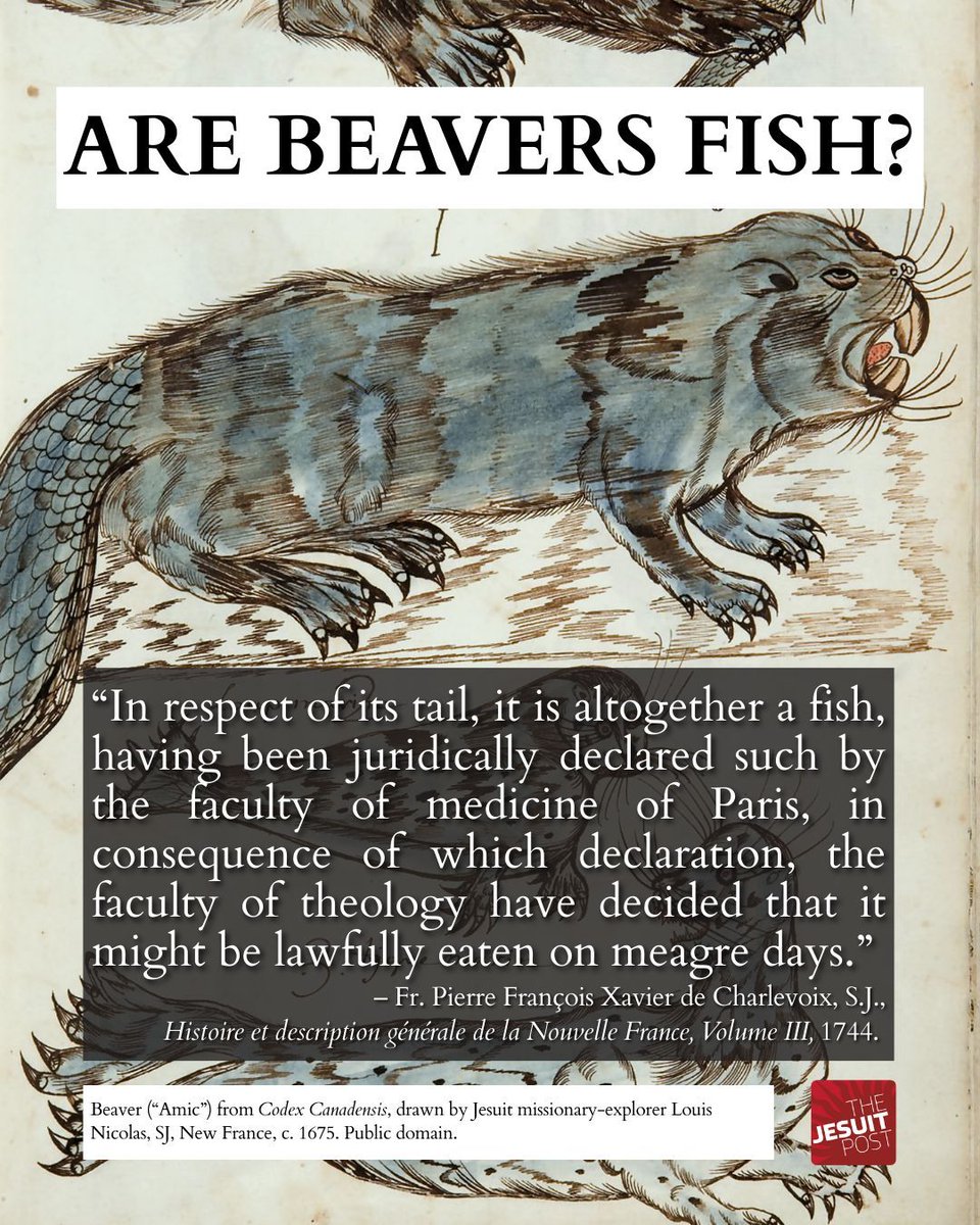 The Jesuit Post tweet media