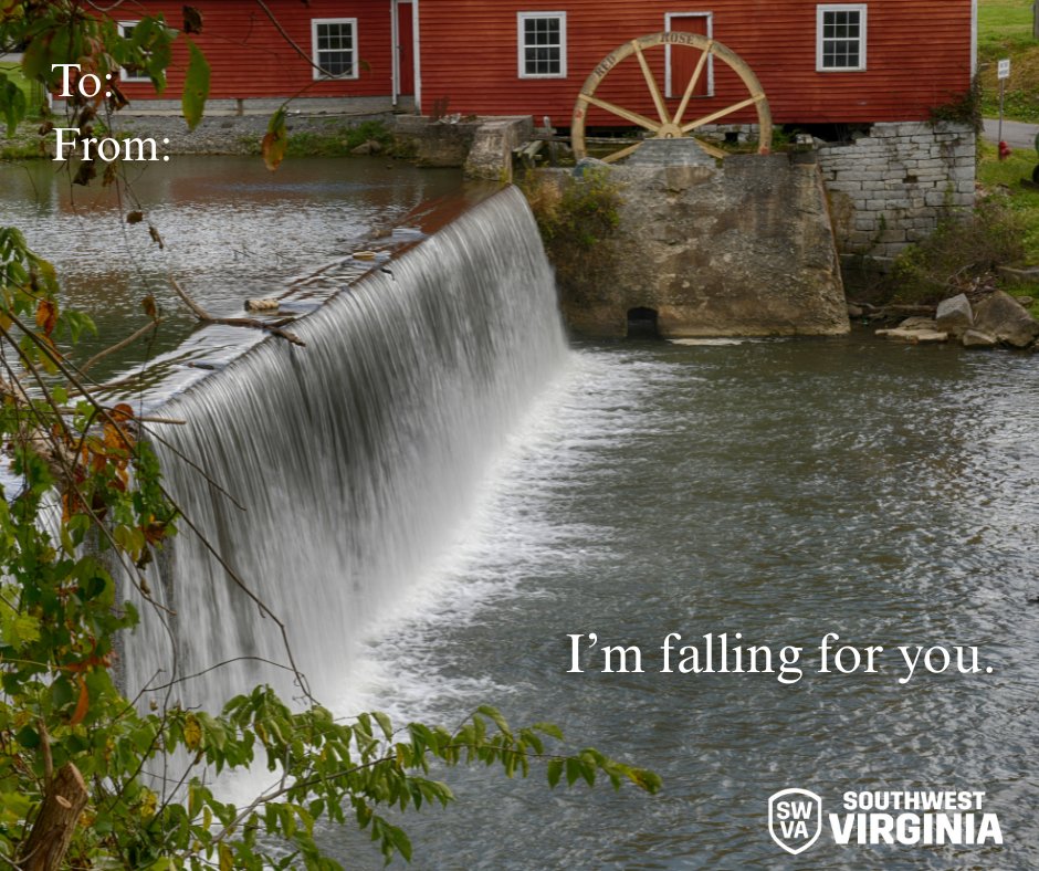 Southwest Virginia tweet media