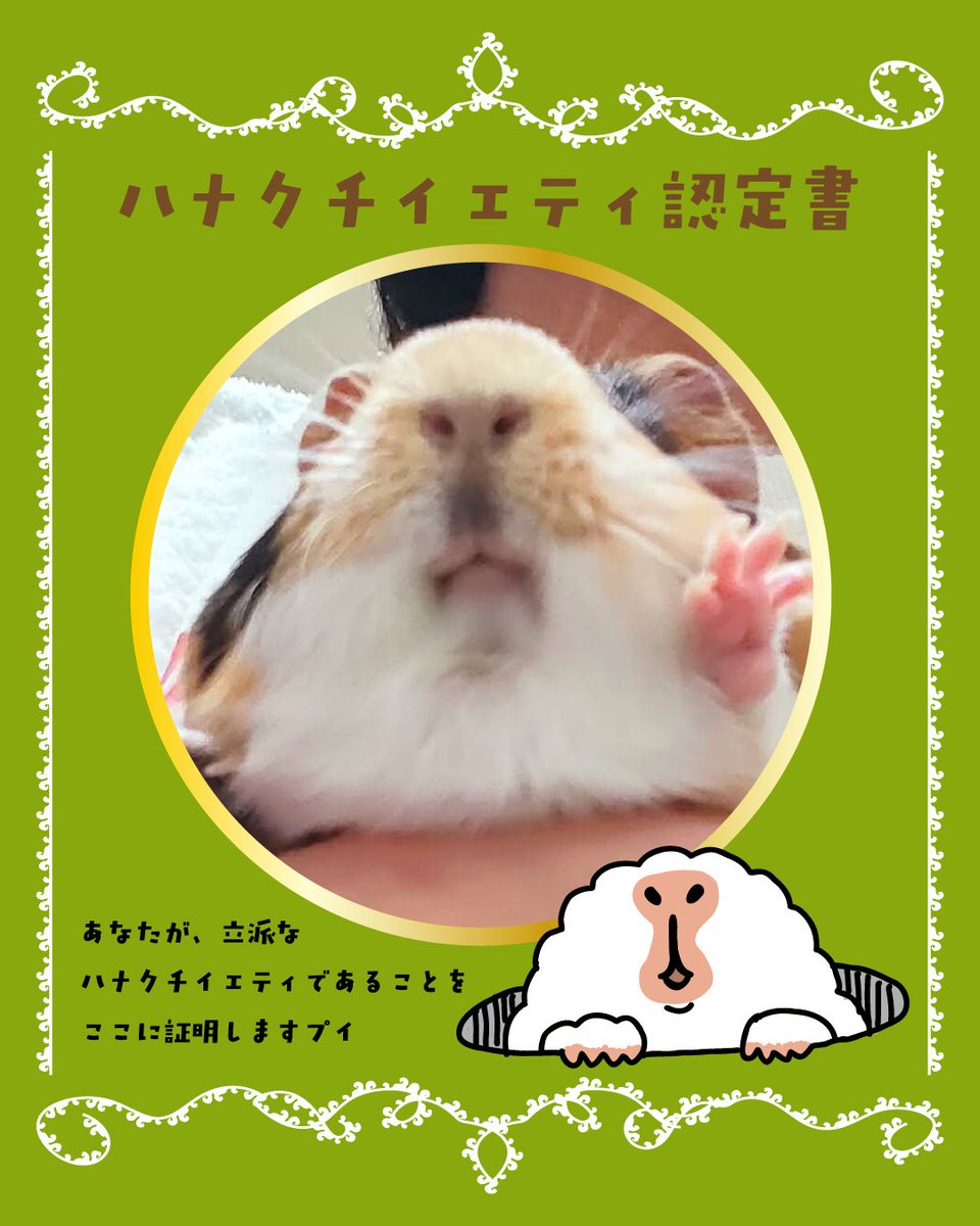 フォロワー1000人達成記念
⭐️ハナクチイエティ選手権⭐️

気づけばフォロワー1000人超えてました😮‼️たくさんのフォロー、本当にありがとうございます😭

そこで‼️やっちゃいます‼️「ハナクチイエティ選手権」‼️

皆さんのおうちのかわいいさんの、ハナクチイエティっぷりをぜひぜひ自慢してください☺️