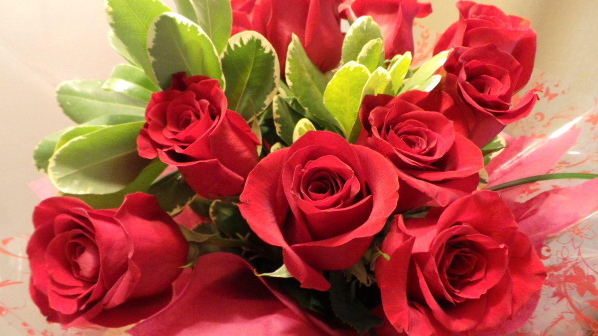 🌹 Rose☺️ 🌹 tweet media