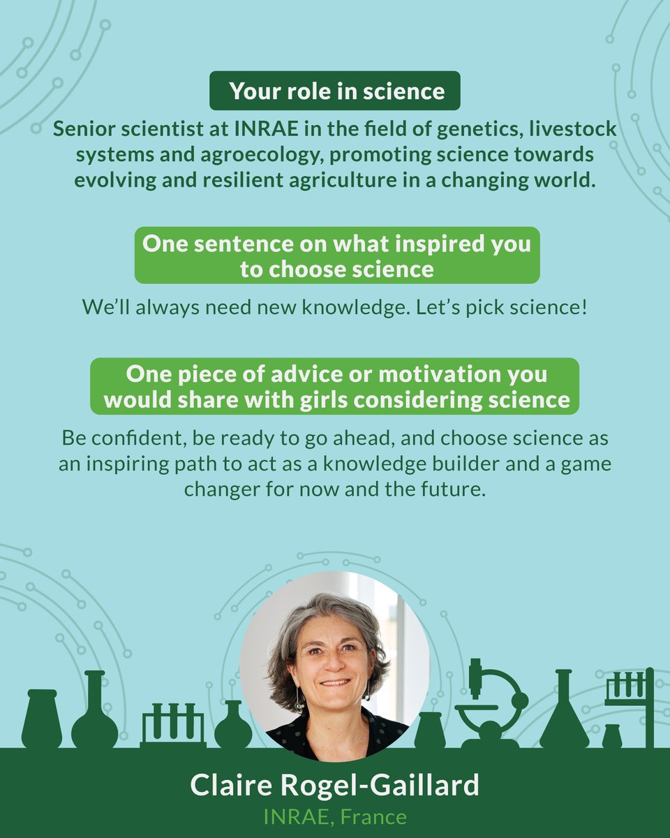 Horizon_StepUp tweet media