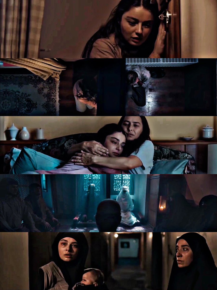 ❤️ #albenibaba #ayçaayşinturan #erkanpetekkaya #ayçabingöl #malikblumenthal
