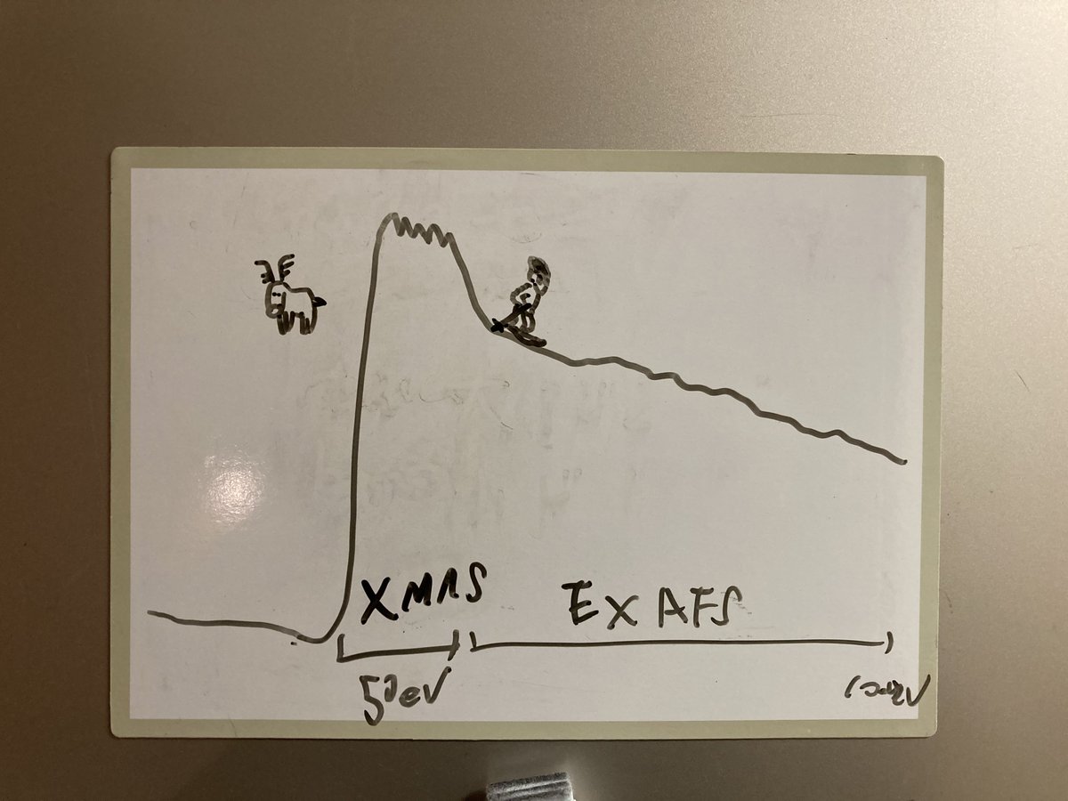 大学院、文系と理系でここまで思考回路が違う