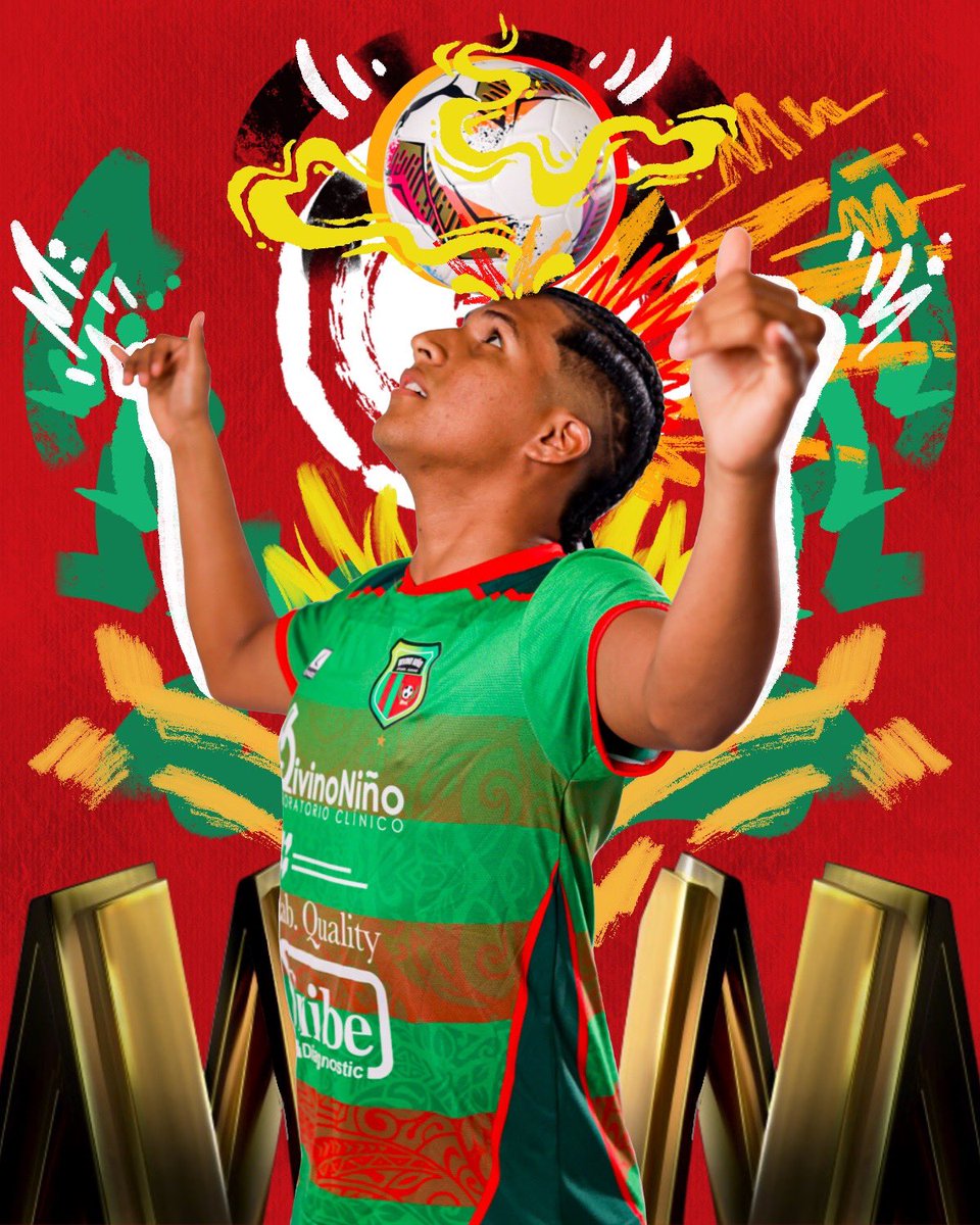 CONMEBOL Libertadores Futsal tweet media