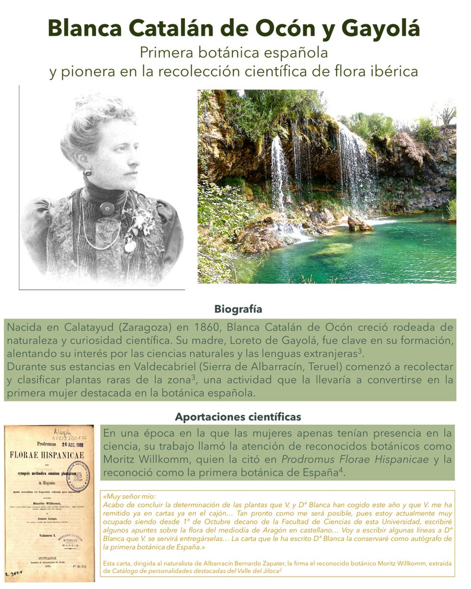 Grupo de Trabajo de Diversidad e Igualdad (SEBOT) tweet media