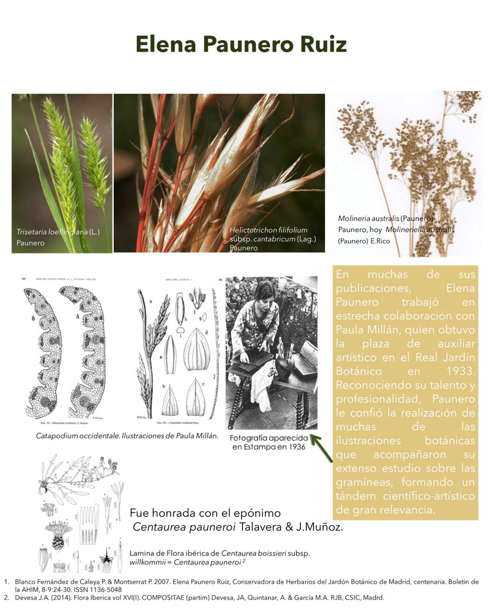 Grupo de Trabajo de Diversidad e Igualdad (SEBOT) tweet media