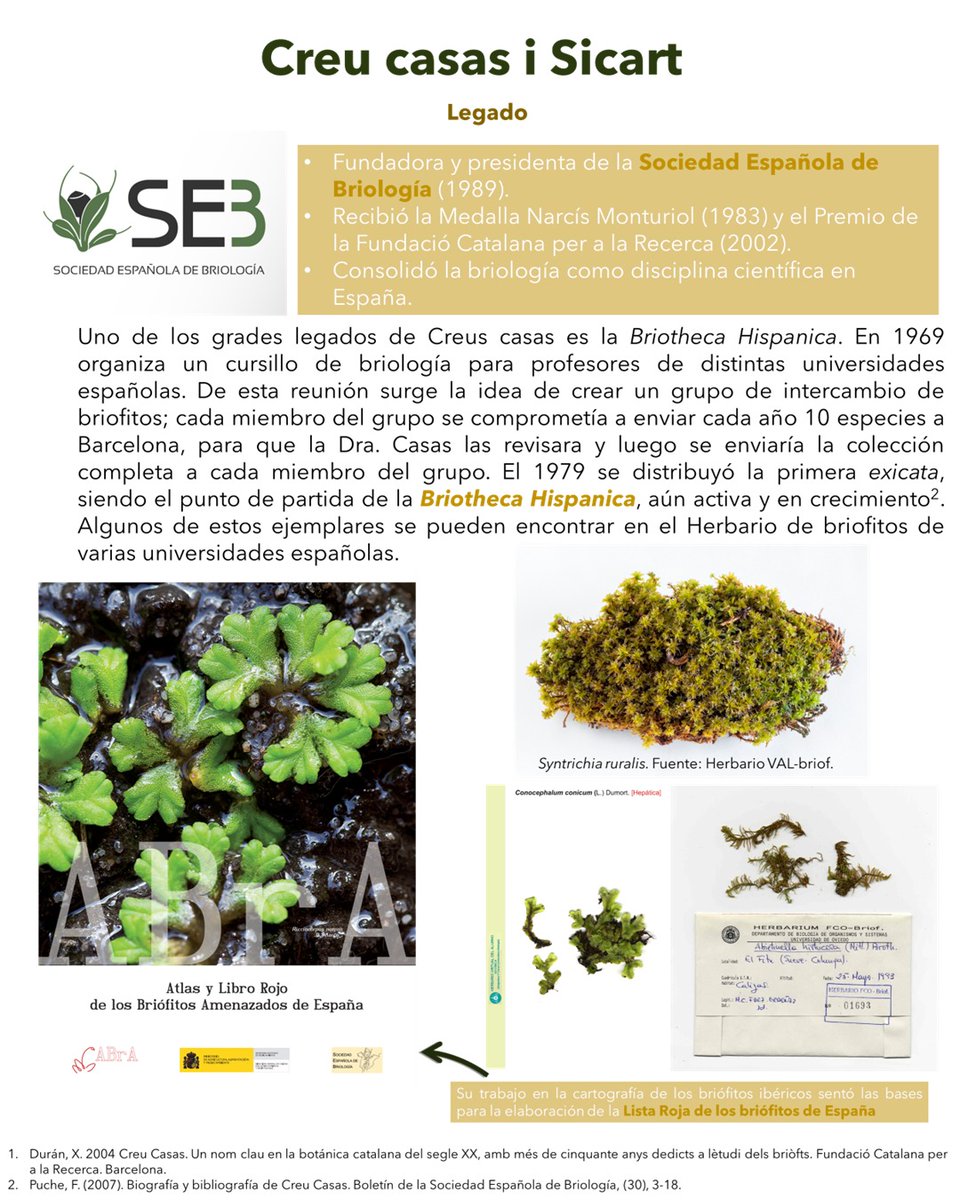 Grupo de Trabajo de Diversidad e Igualdad (SEBOT) tweet media