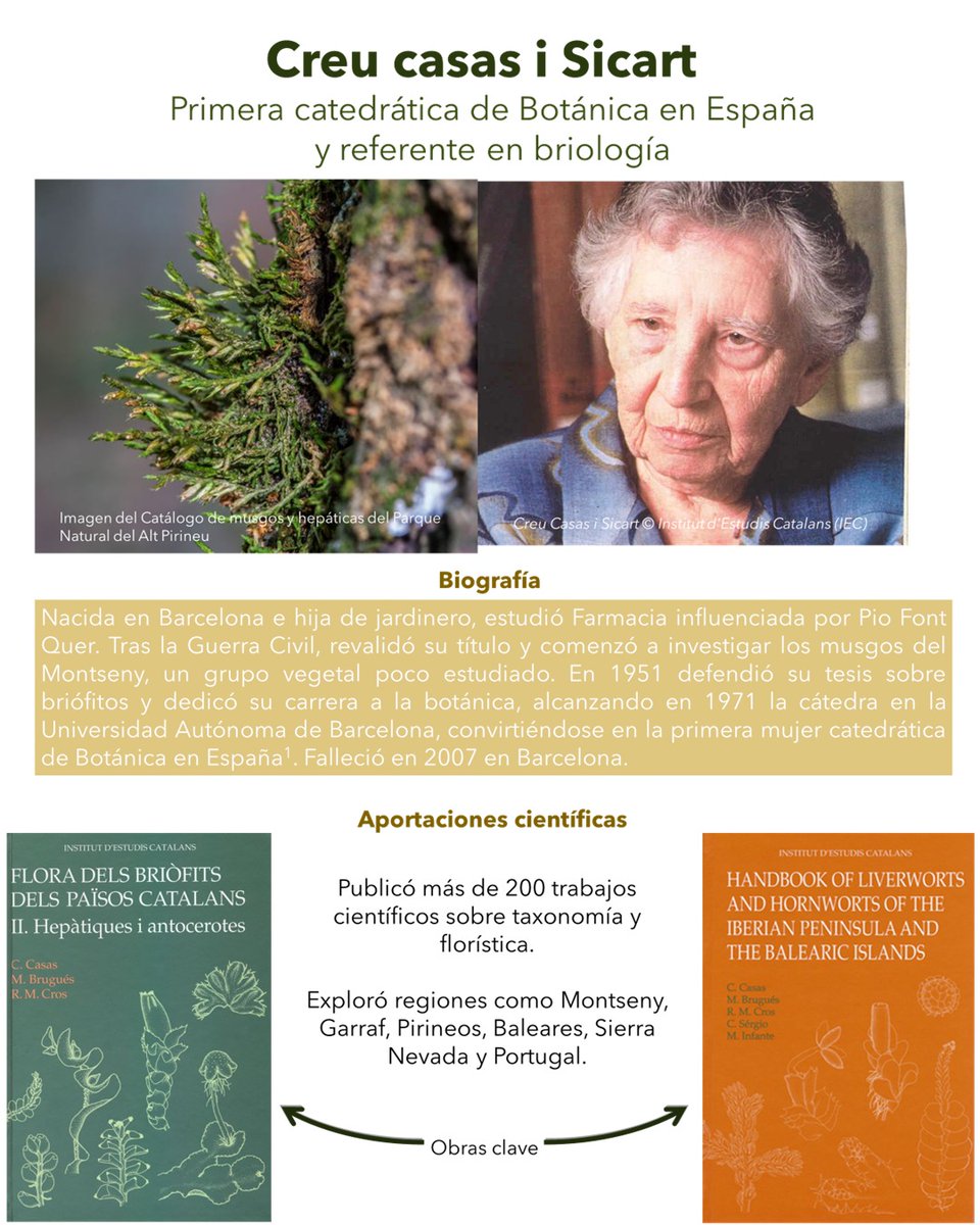 Grupo de Trabajo de Diversidad e Igualdad (SEBOT) tweet media