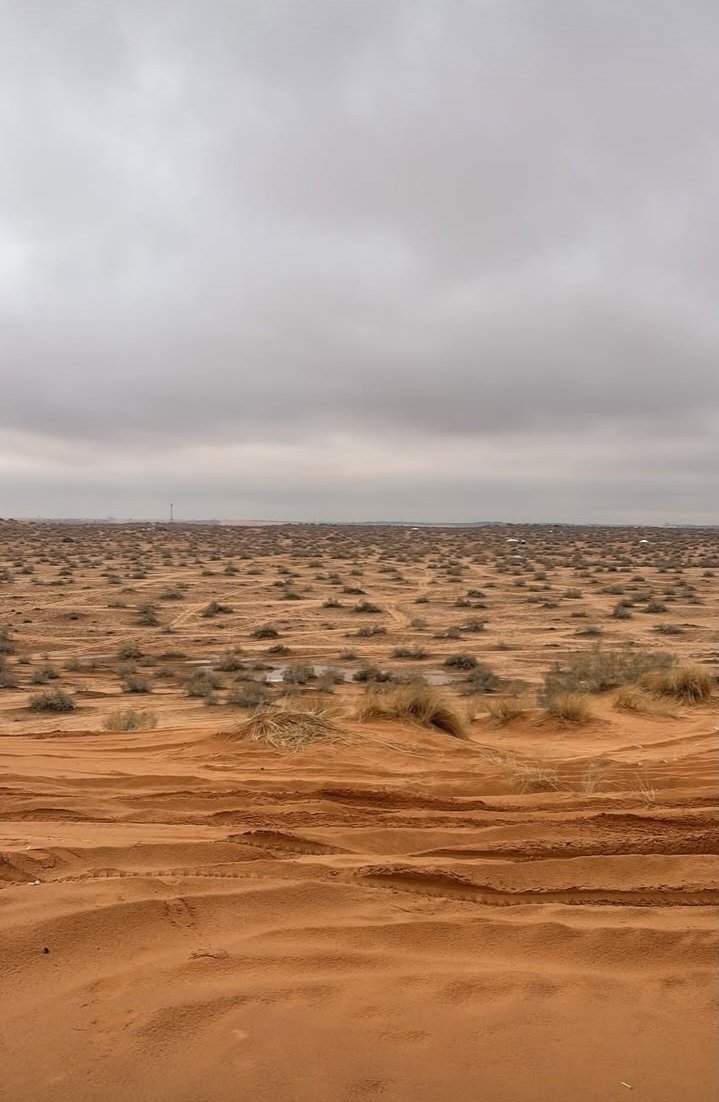 مع غروب شمس هذا اليوم :
اللهم بشرنا بما يسرنا وانت خير المبشرين
اللهم اشفي كل مريض يتألم من مرضه يارب
اللهم ارحم موتانا وموتى المسلمين يارب