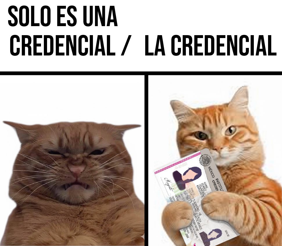 No solo es una credencial, también es tu oportunidad para participar en las próximas elecciones y tu identificación oficial.
Si ya cumpliste los 18 años, acude al Módulo de Atención Ciudadana del INE más cercano a tu domicilio y realiza tu trámite para obtener tu #INE