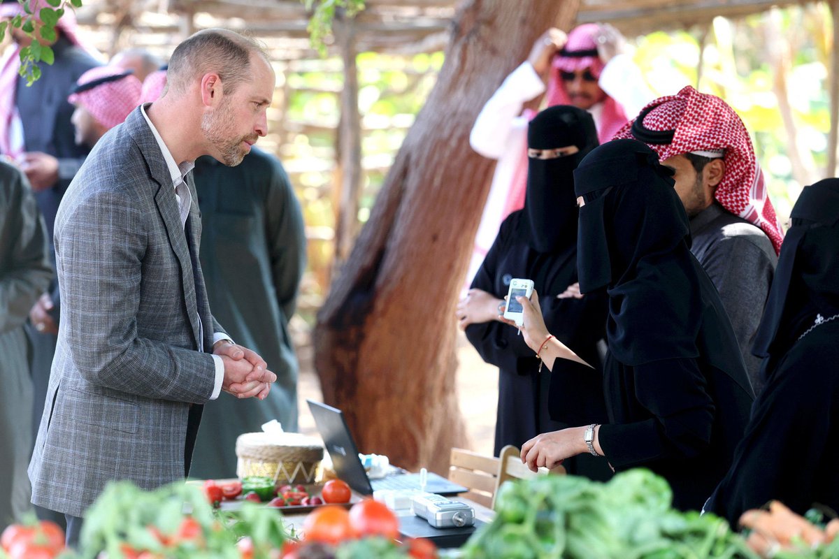 قورجس tweet media