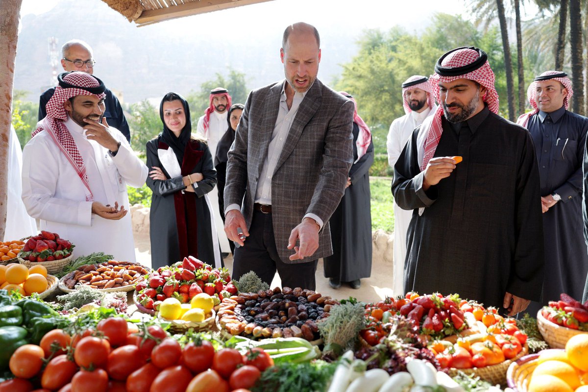 قورجس tweet media