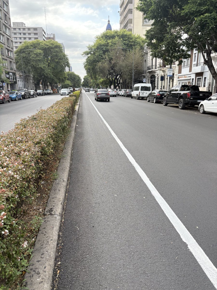 Lucas Ameriso tweet media