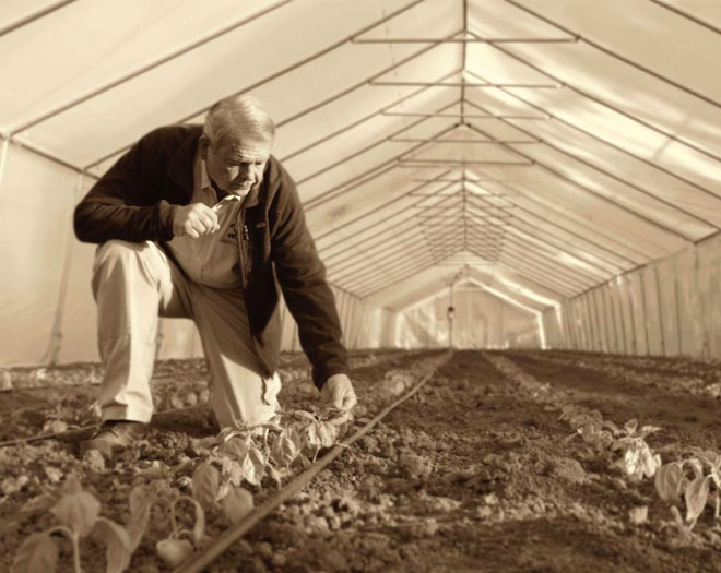 MXSW NEWSLETTER 02.11.26: 🚜 The lasting legacy of Bob McClendon; the shocking closure of Golden Oak Barbecue &amp; Taproom; the long-awaited reopening of Si Señor; and more.