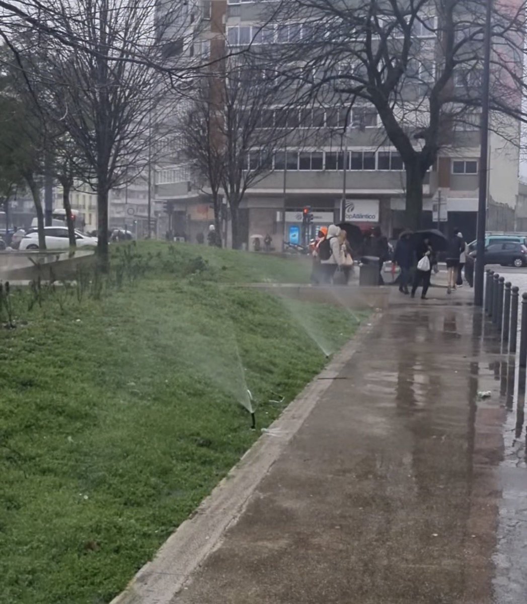 Relva a ser regada, hoje, na Praça de Londres #CMLBEM