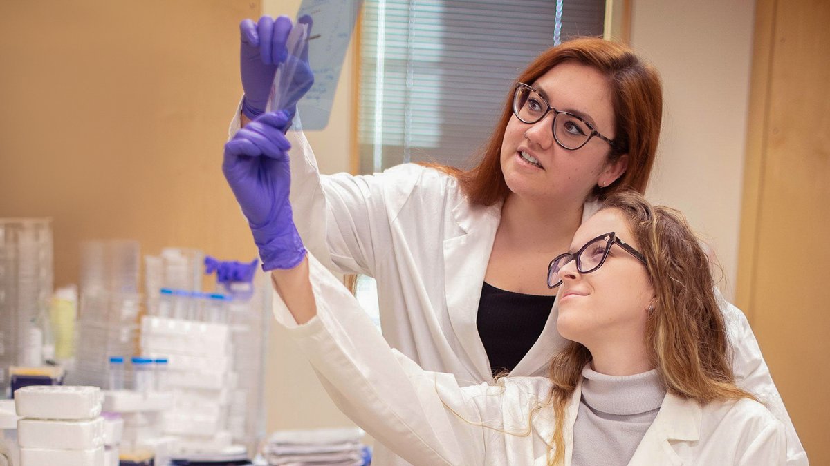 Cold Spring Harbor Laboratory tweet media