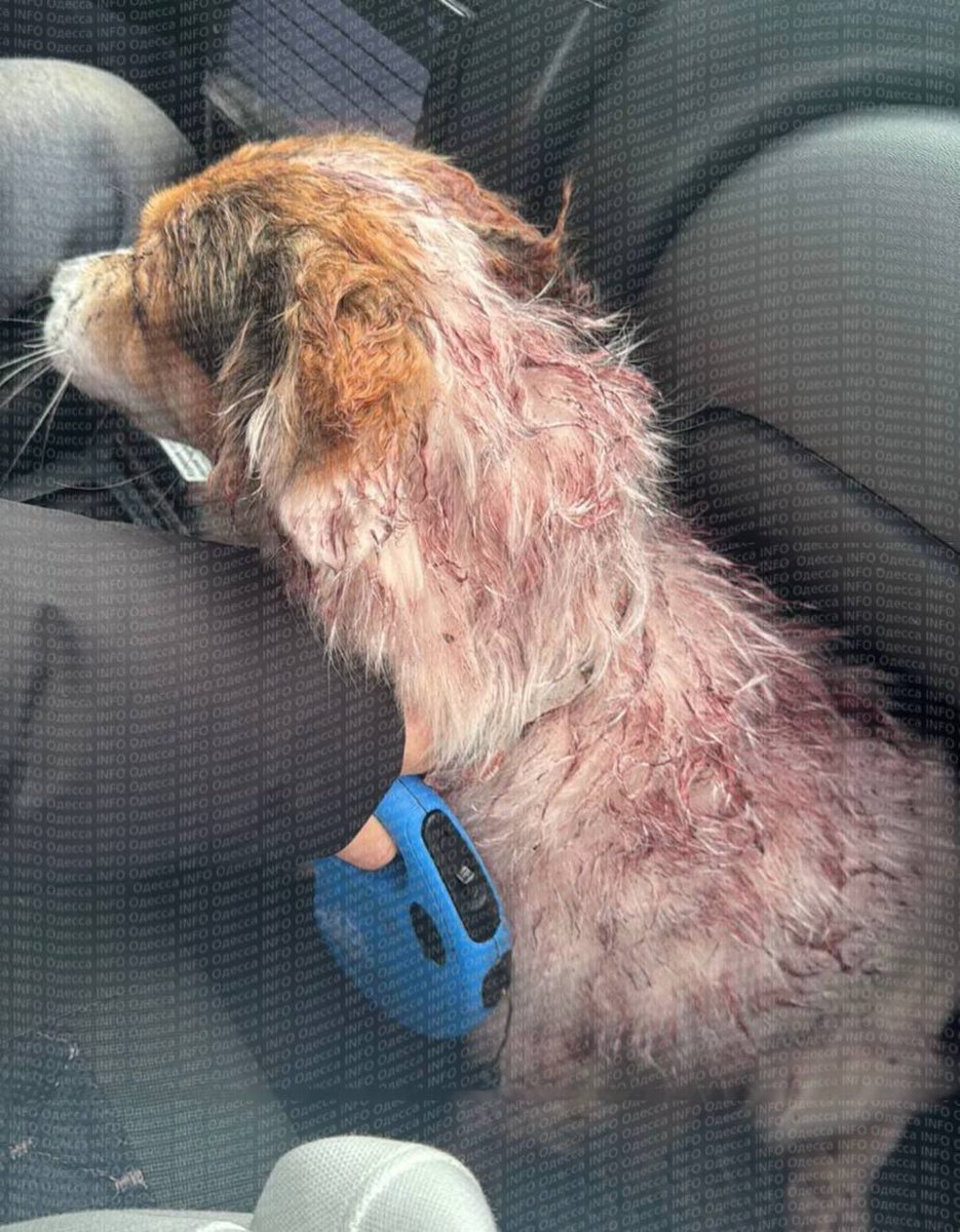 die Gucci Hose tweet media