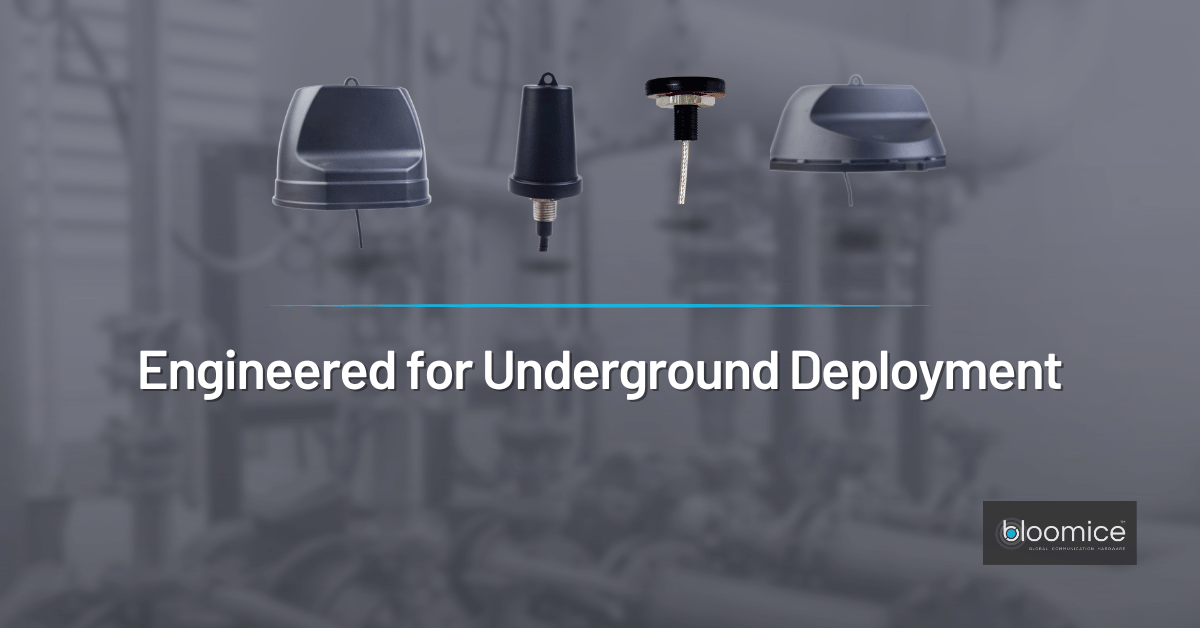 Bloomice SL tweet media