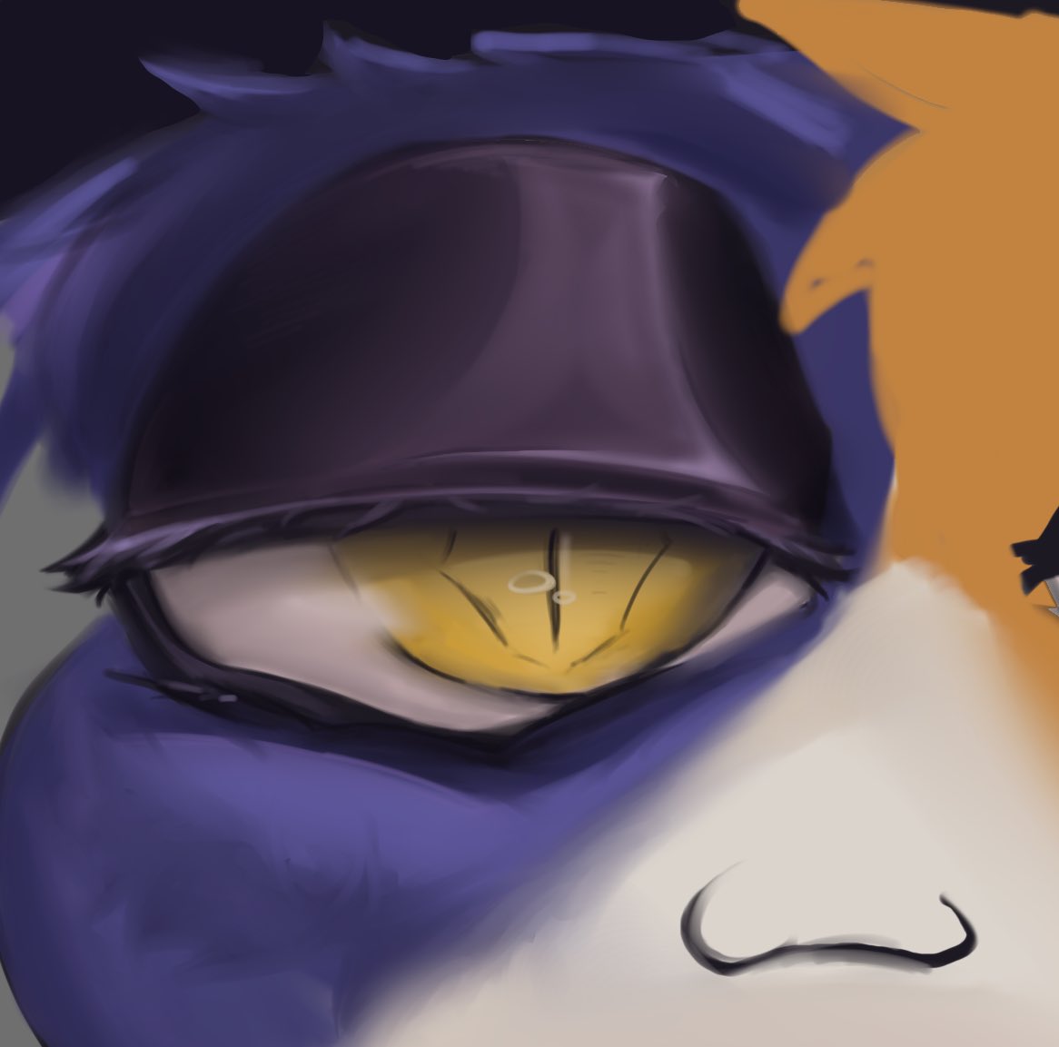 Lads! Got some explicit goon material coming up soon, and it’s not just about meowskulls — should I upload it here or make a separate page? 👀