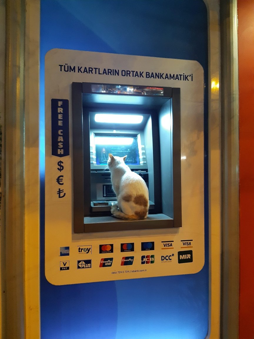 ne yapıyorsun sen orda minnoş