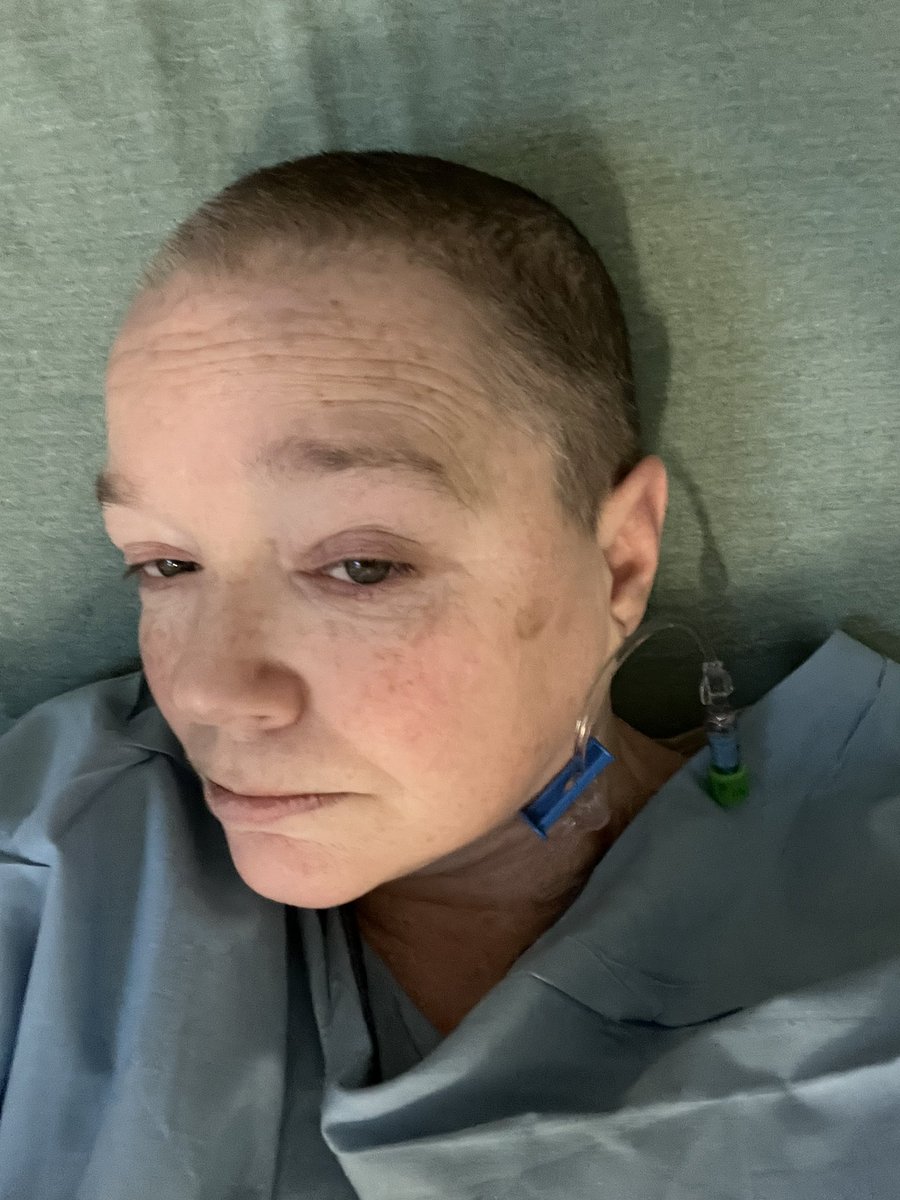 Feisty toxic megloaf pengo tweet media