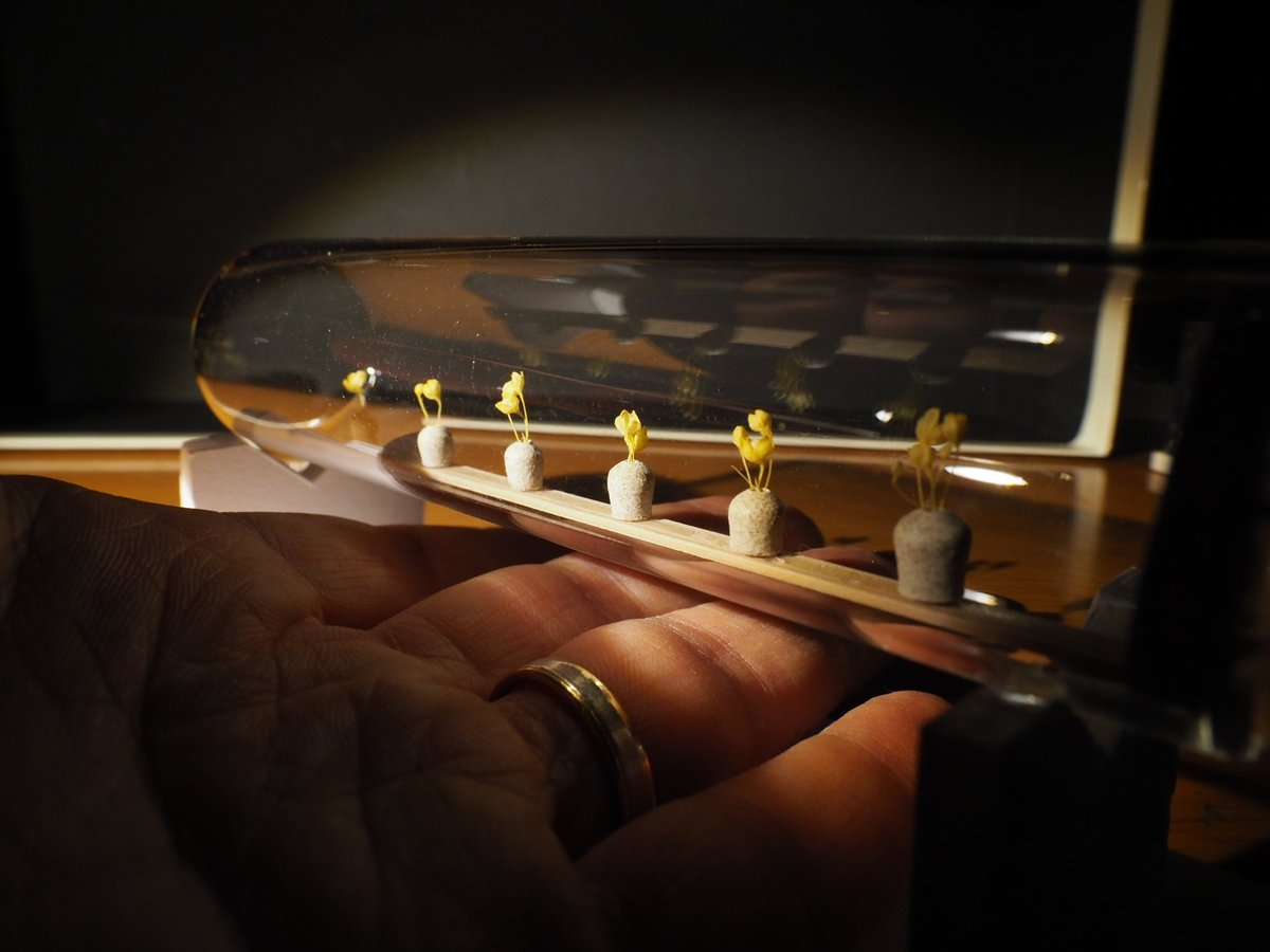 TAKA流ろくろ引き

リューターの先に先の平らなゴム砥石をセット。オーブン陶土を適量乗っけて、1000から3000RPMで回転。

指の腹でおおよその形を作った後は爪で表面と細かなかたちを整えて穴は先を削ったつまようじで。

似た形のサイズ違いを６つ作って手芸用のドライフラワーを生けました。