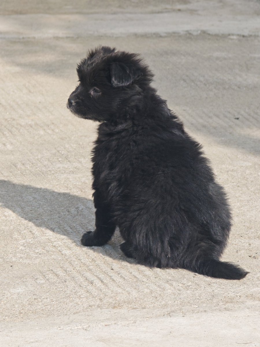 Ruby（互关） tweet media