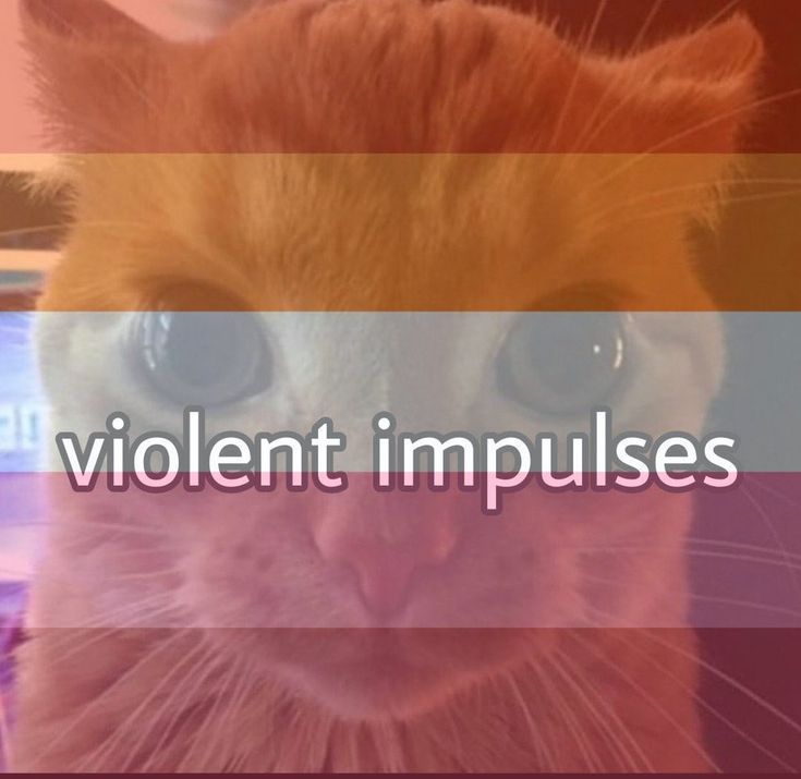 C⁶𓅓 (@drizzyicarus) on Twitter photo 