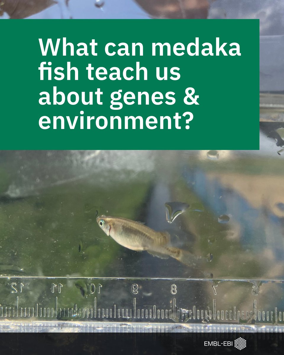 EMBL-EBI tweet media