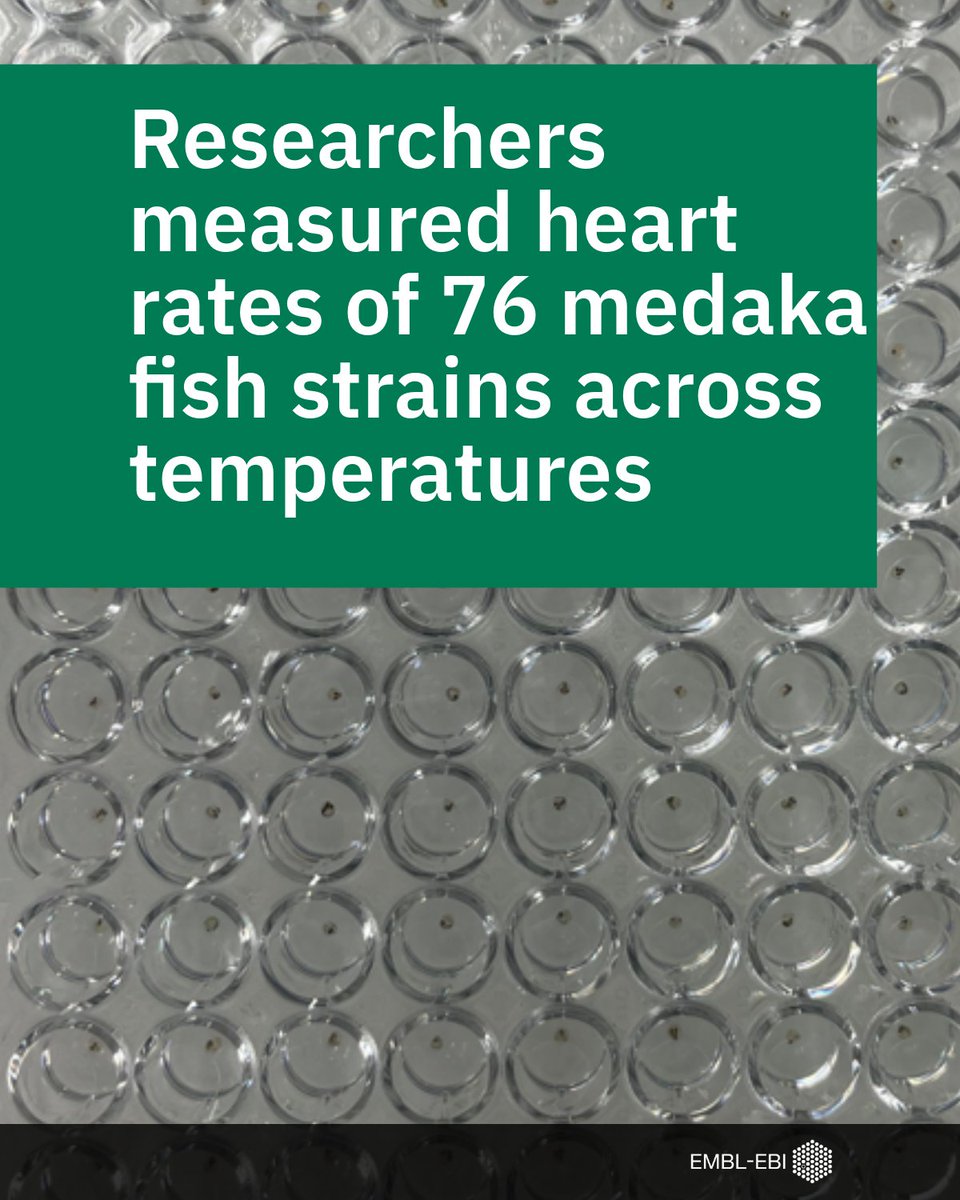 EMBL-EBI tweet media