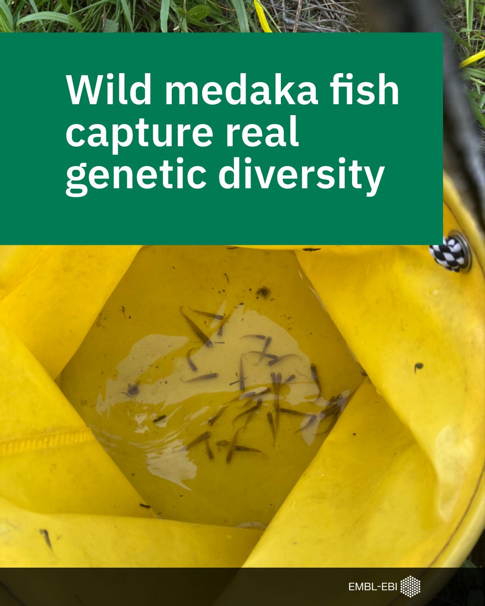 EMBL-EBI tweet media