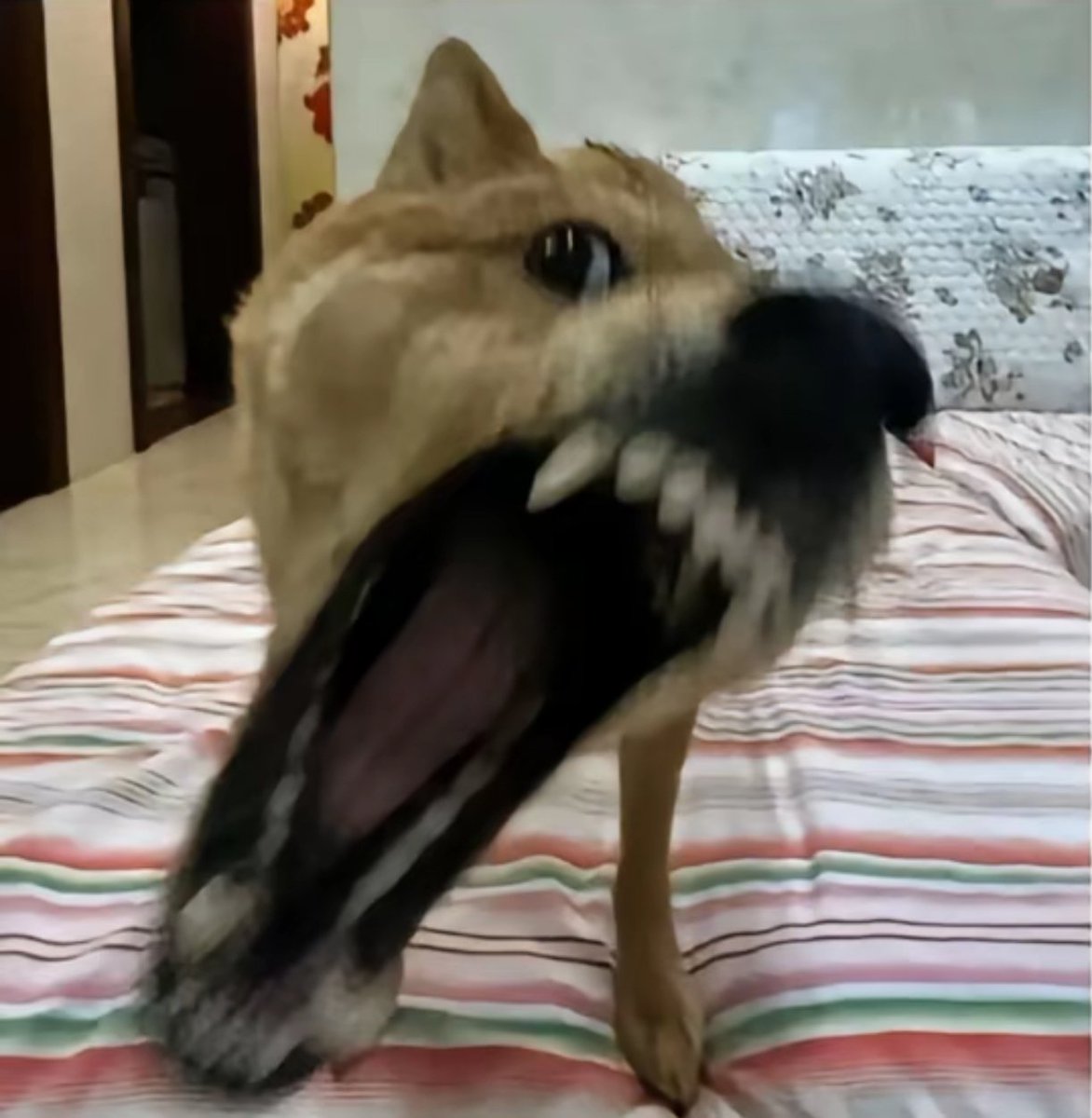 quick doodle and.....
its ref....
....
哈哈哈哈哈哈哈哈哈哈哈哈哈哈哈哈哈哈哈哈哈哈哈哈哈哈哈哈哈哈
#nomoreinnocence #nmi #execommunity