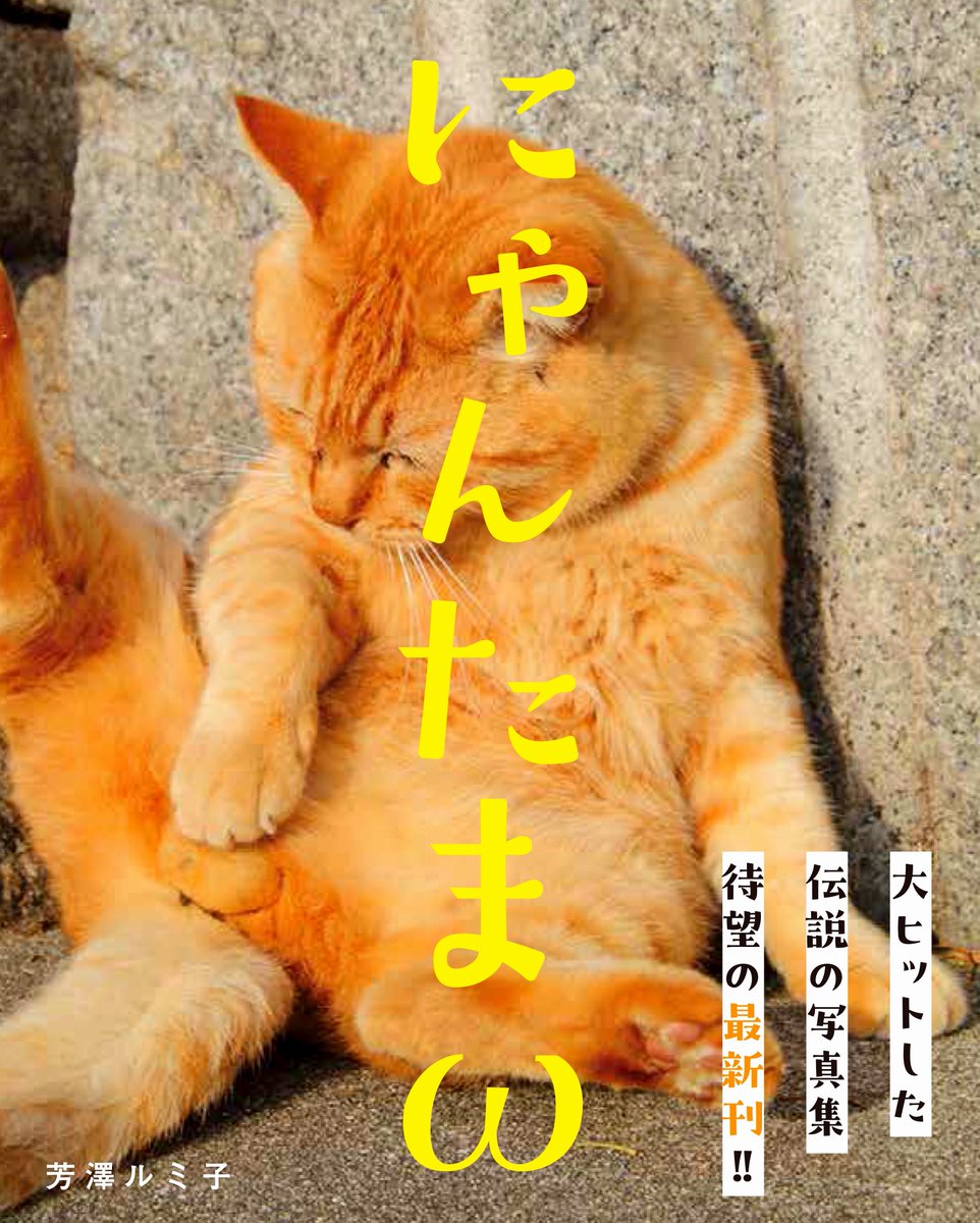 ねこ自慢」出演で話題の #芳澤ルミ子 カメラマンの最新写真集 「にゃん