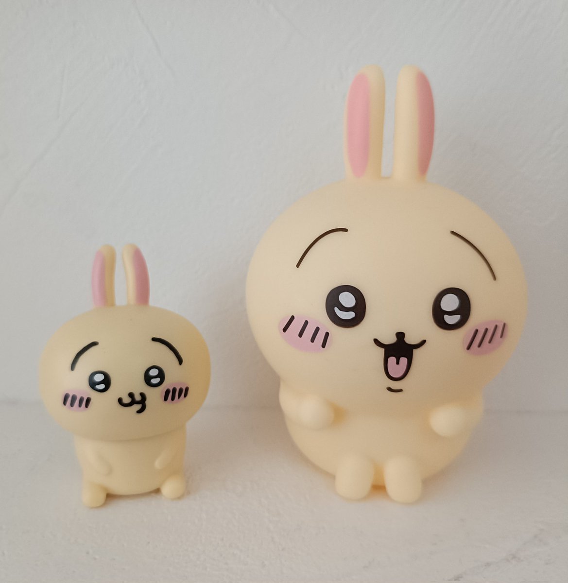 紹介します、うさぎ2号です。