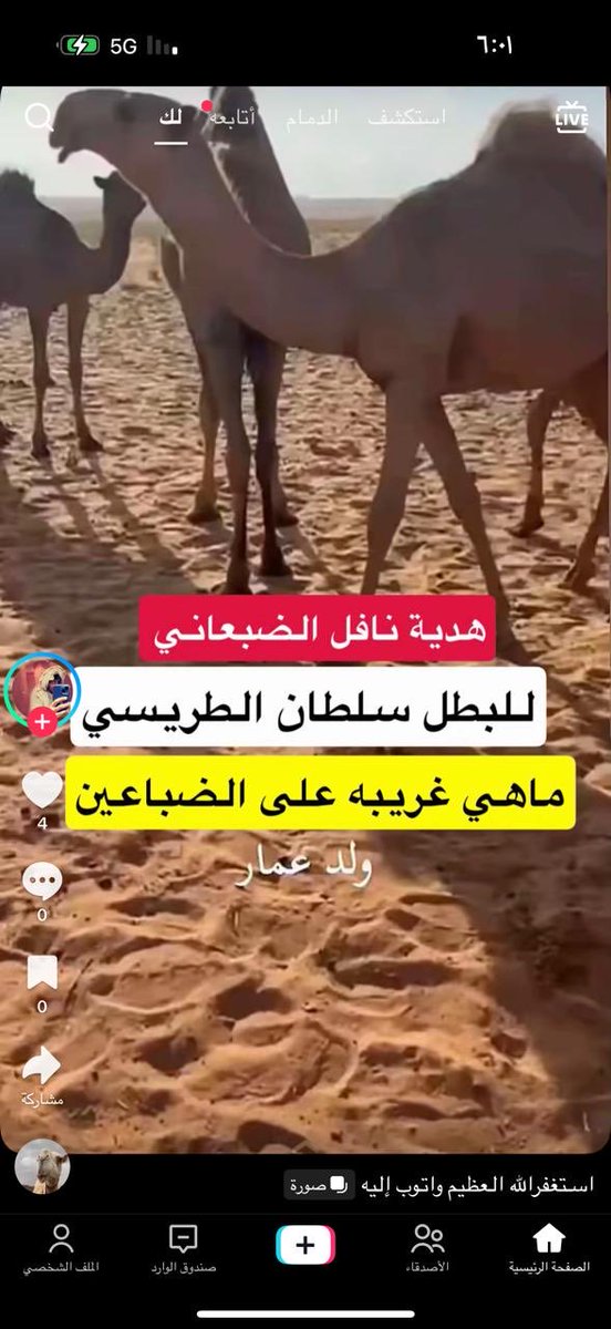 هدية 
ابو نواف يفعل  ويجود الله يزيده ويبارك له في حلاله 
ومنقذ الطفله السودانية البطل 
سلطان الطريسي الحربي كفو و يستاهل